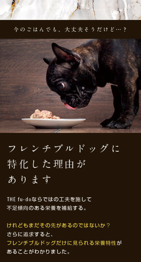 77645387_1